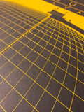 Civic Arena - 1961 - 2012 Screen Print